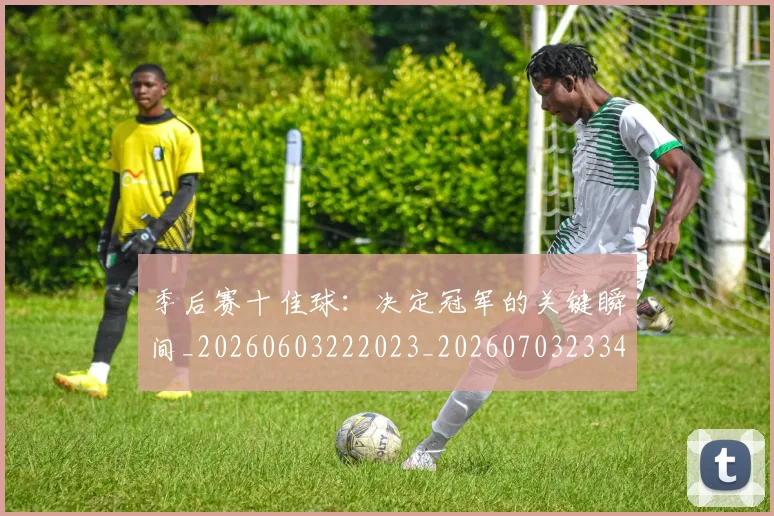 季后赛十佳球：决定冠军的关键瞬间_20260603222023_20260703233446